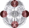 SiliconBrain Asset Management